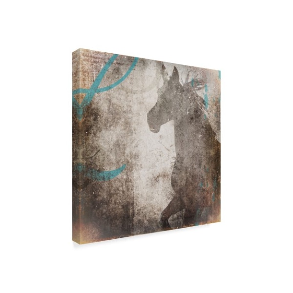 Lightboxjournal 'Gypsy Gray Right' Canvas Art,14x14